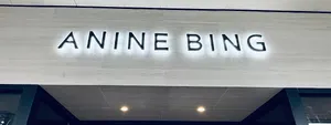 Anine Bing