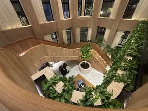 Aritzia Michigan Ave