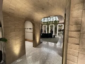 Aritzia Michigan Ave